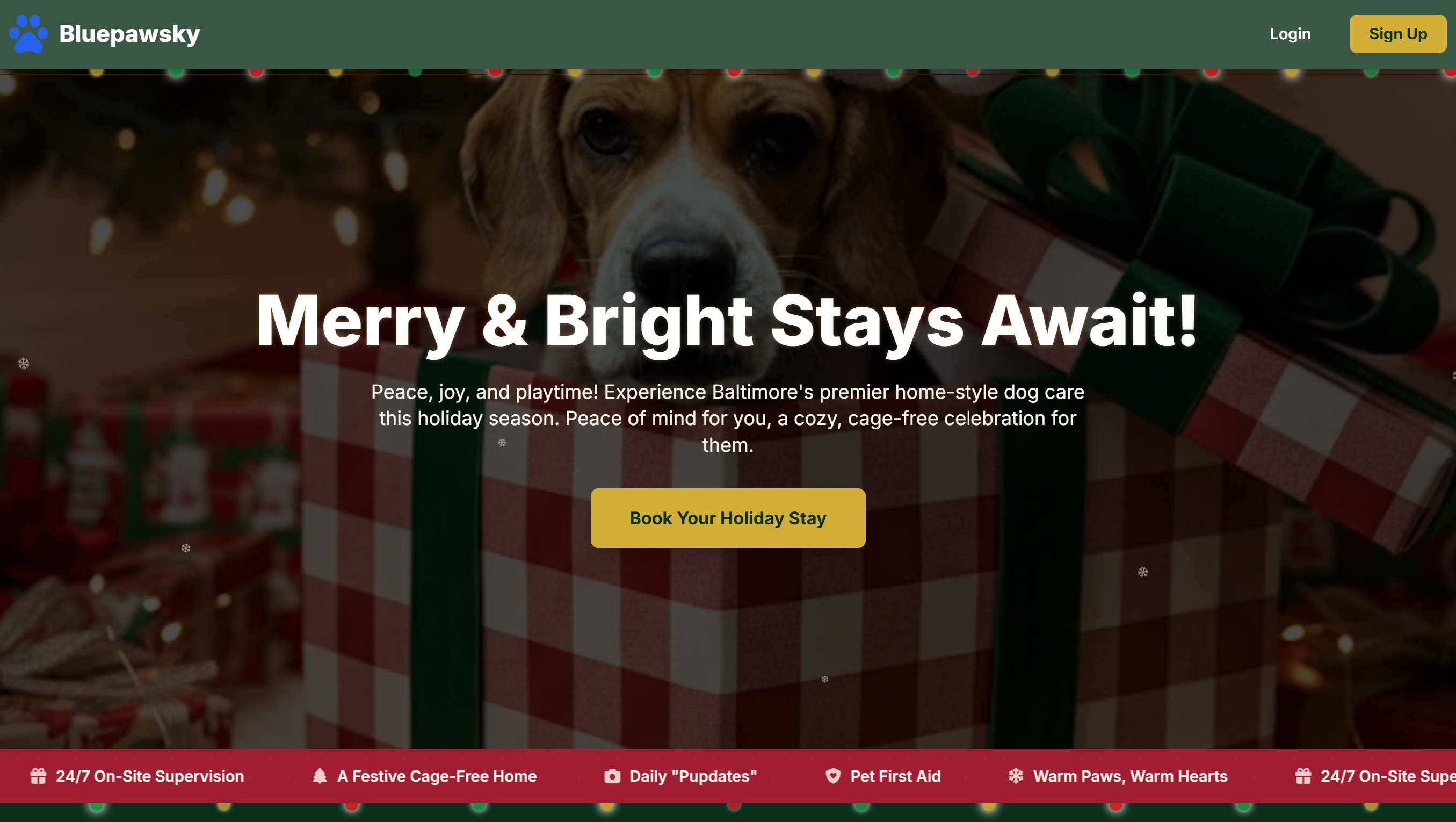 Proyecto de sitio corporativo BluePawsky